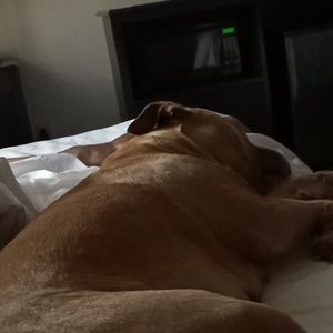 Meet your Posher, Tari